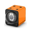 FBWS-F ORANGE