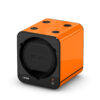 FBWS-F ORANGE